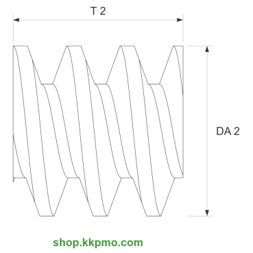 Schnecke M0.2 / Ø 2,0 mm / 1-gängigLänge (T) mm 2,0Bohrung (D) mm 0,80 Spielpassung HDrehrichtung rechtsMessing MO58[SN-M0.2-d2-T2-D0.8H-MS-R]