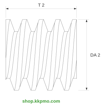 Schnecke M0.15 / Ø 2.0 mm / 1-gängigLänge (T) mm 2.0Bohrung (D) mm 0.80 Presspassung Hausnorm PDrehrichtung linksPOM-C natur[SN-M0.15-d2-T2-D0.8P-PN-L]