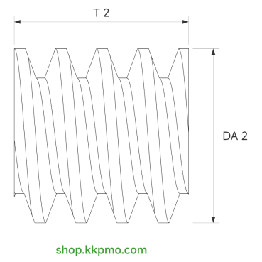 Schnecke M0.15 / Ø 2,0 mm / 1-gängigLänge (T) mm 2,0Bohrung (D) mm 1,00 Presspassung Hausnorm PDrehrichtung rechtsPOM-C natur[SN-M0.15-d2-T2-D1P-PN-R]